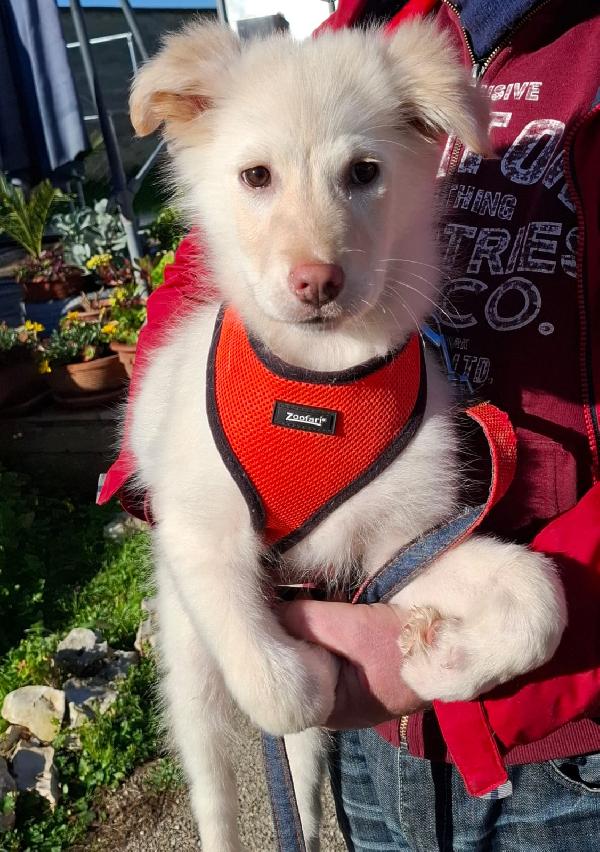 Ninfa Cerca Famiglia. Info Monica 3890238584